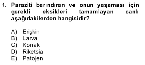 Lbv102u 2012 Bahar Donemi Ara Sinav